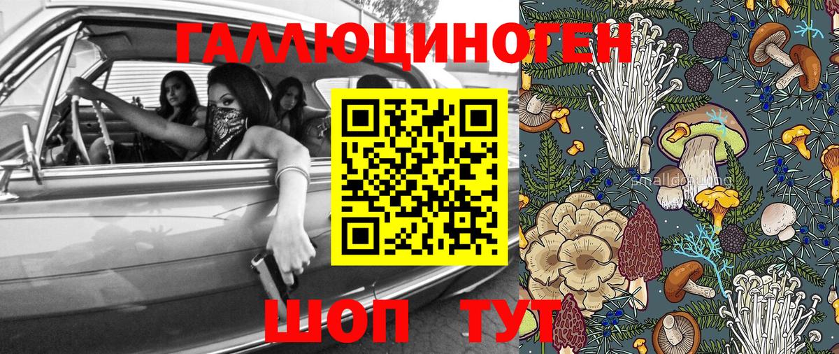 Кировск  Псилоцибиновые грибы прущие грибы  купить   Вход с VPN  Псилоцибиновые грибы ЛСД 